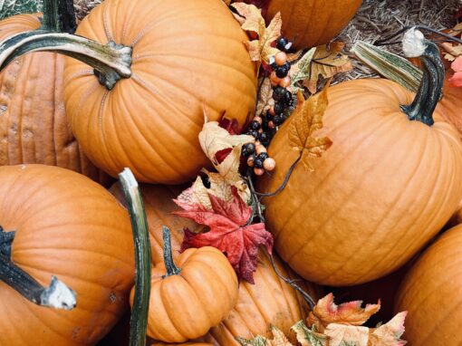 Autumn, autumn, autumn… Autumn, autumn, autumn…