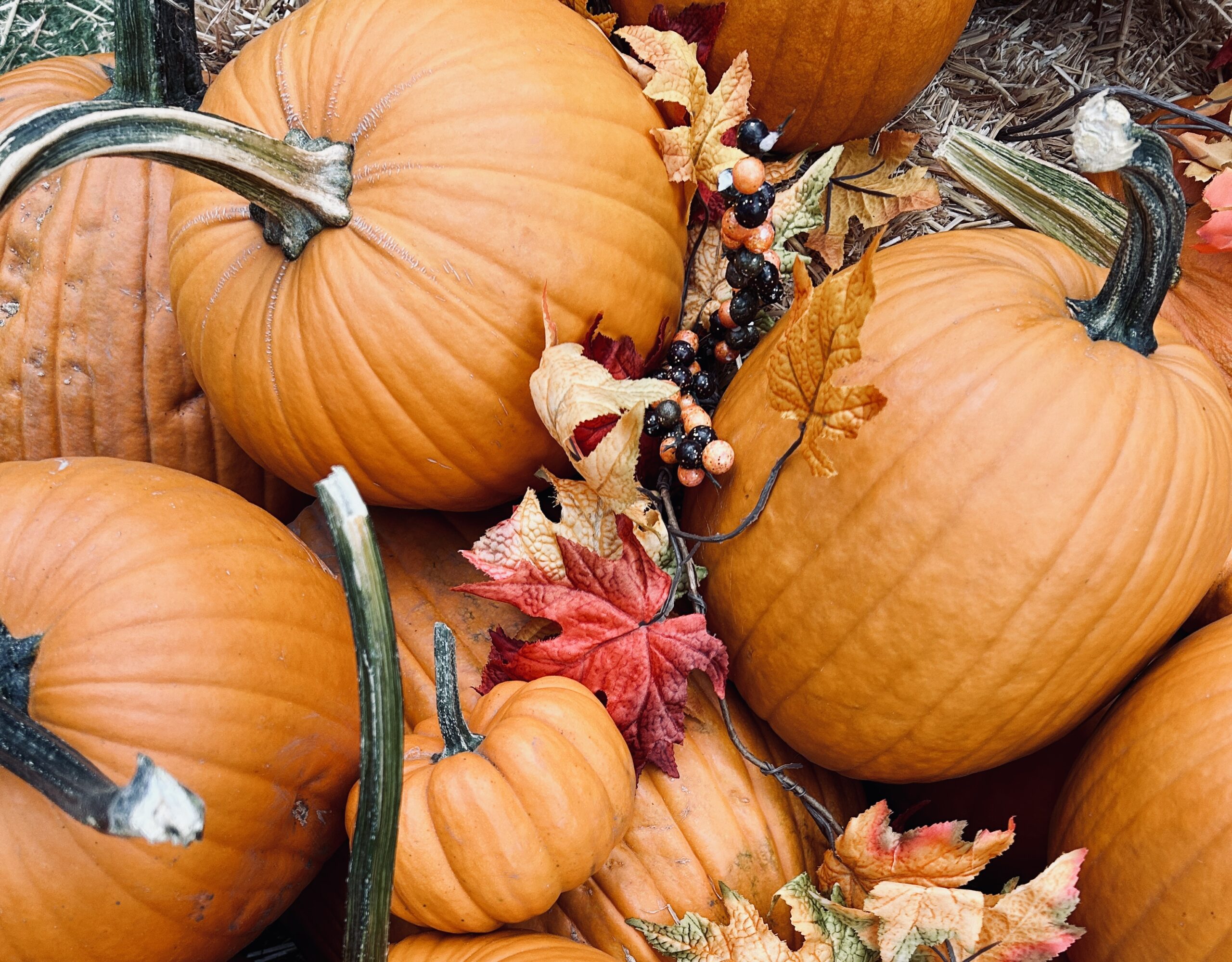 Autumn, autumn, autumn…