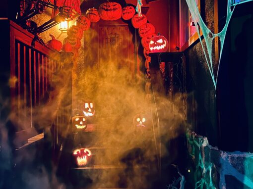 Spooky Season is HERE!